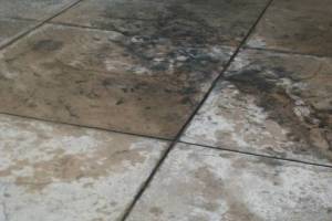 Landscaping Pressure Washing Oil Yard Debris - Landscaping