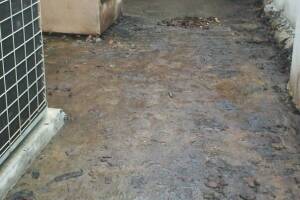 Landscaping Pressure Washing Oil Yard Debris - Landscaping