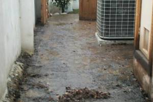 Landscaping Pressure Washing Oil Yard Debris - Landscaping