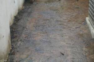 Landscaping Pressure Washing Oil Yard Debris - Landscaping