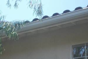 Landscaping Rain Gutter Broken Repair - Landscaping