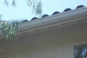 Landscaping Rain Gutter Broken Repair - Landscaping