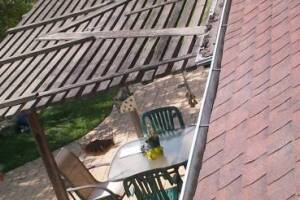 Landscaping Rain Gutter Cleaning Leaves - Landscaping