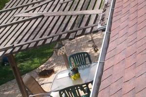 Landscaping Rain Gutter Cleaning Leaves - Landscaping