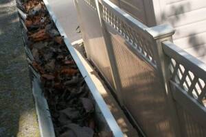 Landscaping Rain Gutter Cleaning Leaves - Landscaping