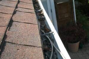 Landscaping Rain Gutter Cleaning Leaves - Landscaping