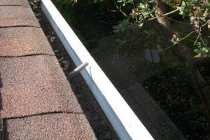 Landscaping Rain Gutter Cleaning Leaves - Landscaping