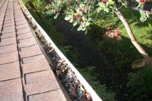 Landscaping Rain Gutter Cleaning Leaves - Landscaping