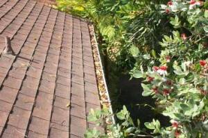 Landscaping Rain Gutter Cleaning Leaves - Landscaping