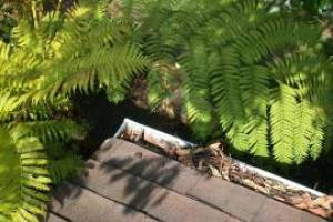 Landscaping Rain Gutter Cleaning Leaves - Landscaping