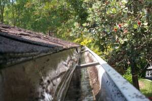 Landscaping Rain Gutter Cleaning Leaves - Landscaping