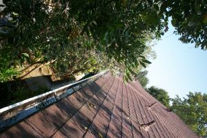 Landscaping Rain Gutter Cleaning Leaves - Landscaping