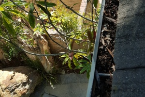 Landscaping Rain Gutter Debris Cleaning - Landscaping