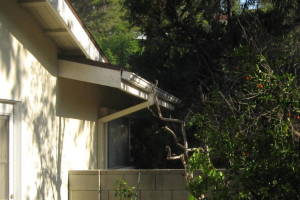 Landscaping Rain Gutter Leaves Debris Cleaning - Landscaping