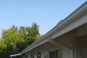 Landscaping Rain Gutter Leaves Debris Cleaning - Landscaping