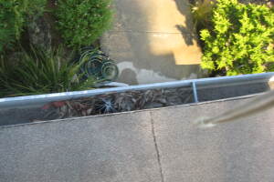 Landscaping Rain Gutter Leaves Debris Cleaning - Landscaping