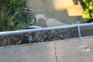 Landscaping Rain Gutter Leaves Debris Cleaning - Landscaping