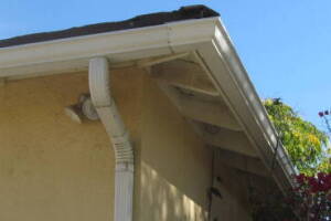 Landscaping Rain Gutter Tree Debris Cleaning - Landscaping