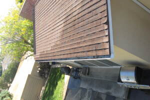 Landscaping Rain Gutter Tree Debris Cleaning - Landscaping