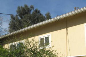 Landscaping Rain Gutter Tree Debris Cleaning - Landscaping