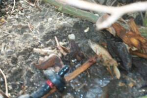 Landscaping Drip System Install Repairs - Landscaping