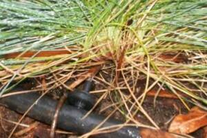 Landscaping Drip System Install Repairs - Landscaping