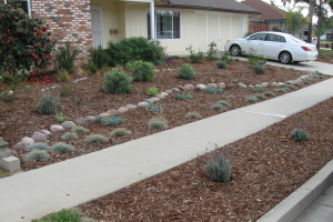 Landscaping Drip System Install Repairs - Landscaping