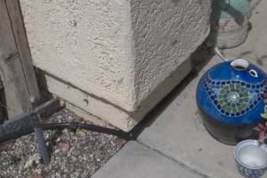 Landscaping Drip System Irrigation Install - Landscaping