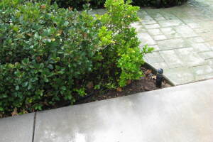 Landscaping Drip System Leak Repair - Landscaping