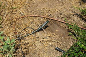 Landscaping Drip System Leak Repair - Landscaping