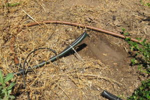 Landscaping Drip System Leak Repair - Landscaping