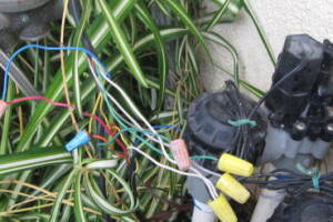 Landscaping Drip System Wiring Repairs - Landscaping