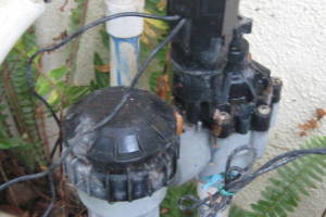 Landscaping Drip System Wiring Repairs - Landscaping