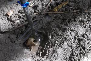 Landscaping Sprinkler Broken Pipe Repair - Landscaping