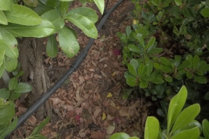 Landscaping Sprinkler Drip System Wiring Repair - Landscaping