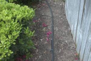 Landscaping Sprinkler Drip System Wiring Repair - Landscaping