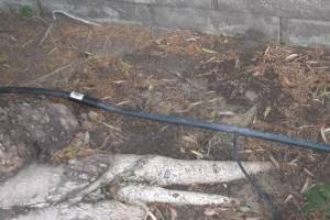 Landscaping Sprinkler Drip System Wiring Repair - Landscaping