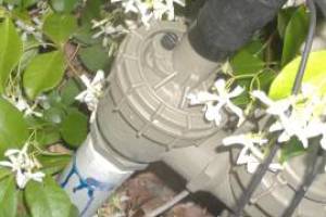 Landscaping Sprinkler Drip System Wiring Repair - Landscaping