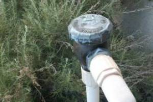 Landscape Sprinkler Repair, Drip System Installation & Replacement