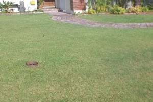 Landscaping Sprinkler Underground Pipe Repair - Landscaping