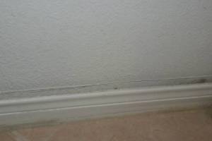 Painting Drywall Baseboard Plaster Repair - Painting