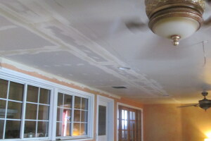 Painting Drywall Ceiling Livingroom Repair - Painting