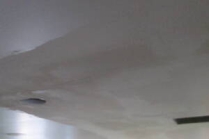 Painting Drywall Ceiling Livingroom Repair - Painting