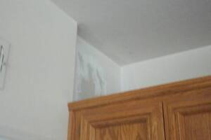 Painting Drywall Plumbing Patching Repairs - Painting