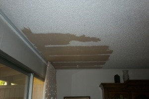 Painting Texture Drywall Ceiling Repairs - Painting