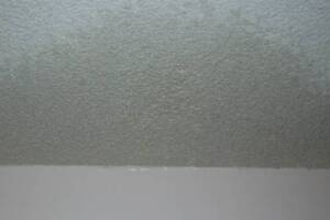 Painting Texture Drywall Ceiling Repairs - Painting