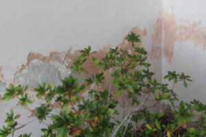 Painting Stucco Home Patching Repairs - Painting