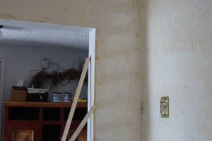 Painting Wallpaper Removal Home Paint - Painting