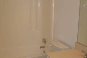 Plumbing Tub Shower Remodel Repairs - Plumbing