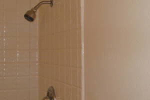 Plumbing Tub Shower Remodel Repairs - Plumbing